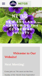 Mobile Screenshot of netgs.org